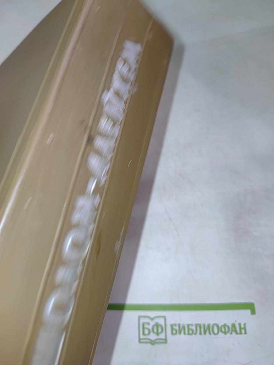 Шолом-Алейхем. Собрание сочинений. Том 5. Рассказы