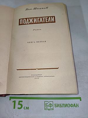 Поджигатели. Книга первая
