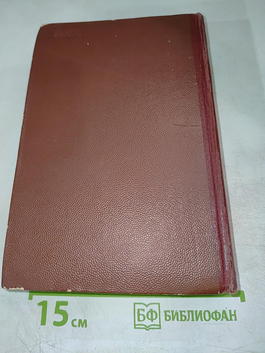 Поджигатели. Книга первая