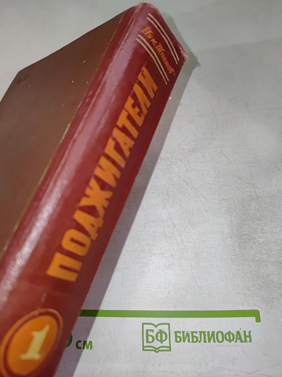 Поджигатели. Книга первая