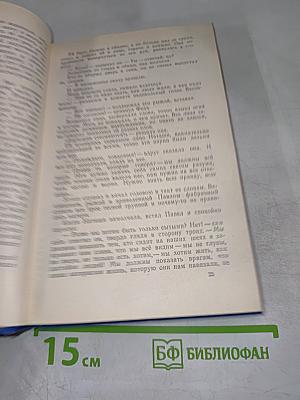 Мать. По Союзу Советов