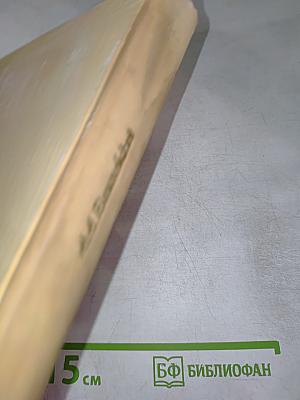 Дневник хирурга. Великая Отечественная война 1941-1945 гг.