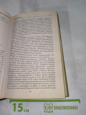 Майор Вихрь