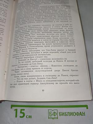 Графиня де Монсоро. Том шестой