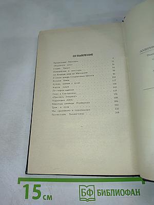 Америка справа и слева