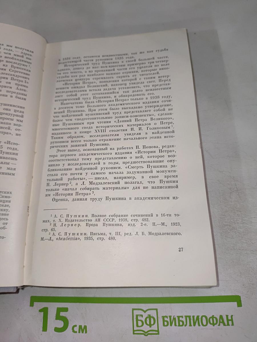 Незавершенные работы Пушкина