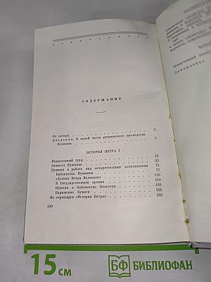 Незавершенные работы Пушкина