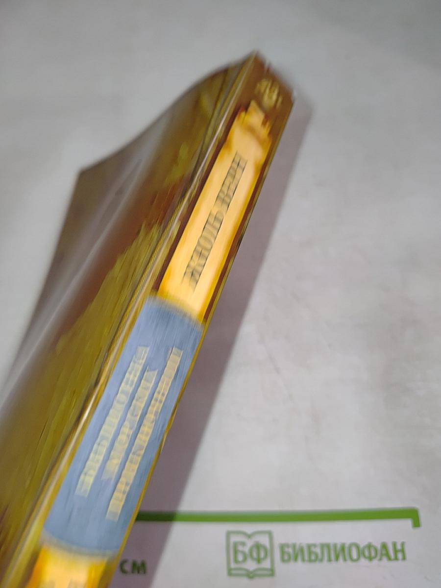 Школа Робинзонов. Дунайский лоцман