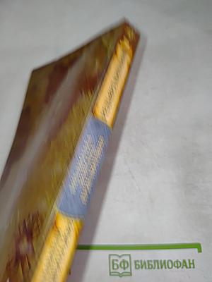 Отважные мореплаватели. Приключения на суше и на море