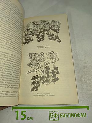 Ягодный сад