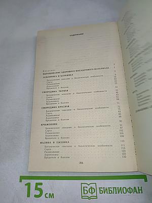 Ягодный сад