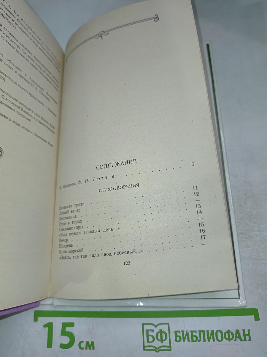 Весенние воды