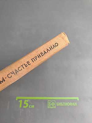 Счастье привалило!