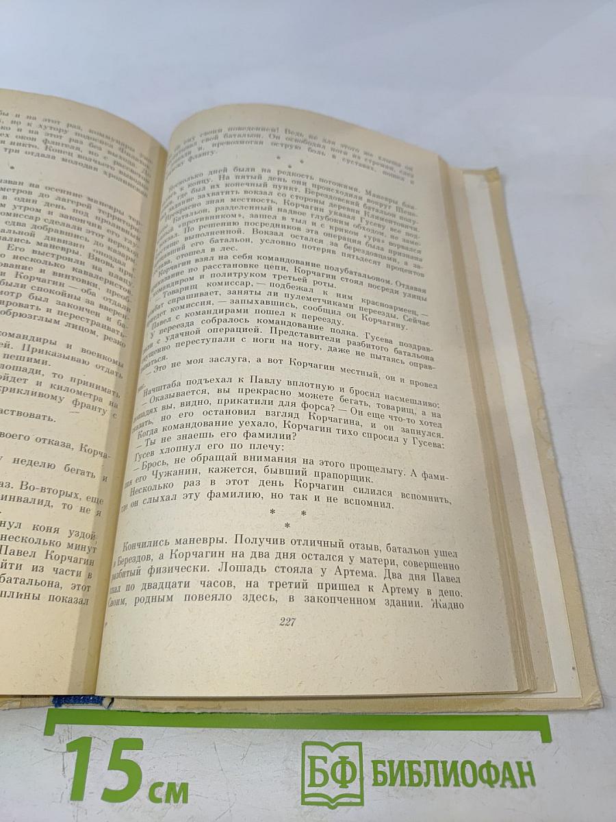 Как закалялась сталь