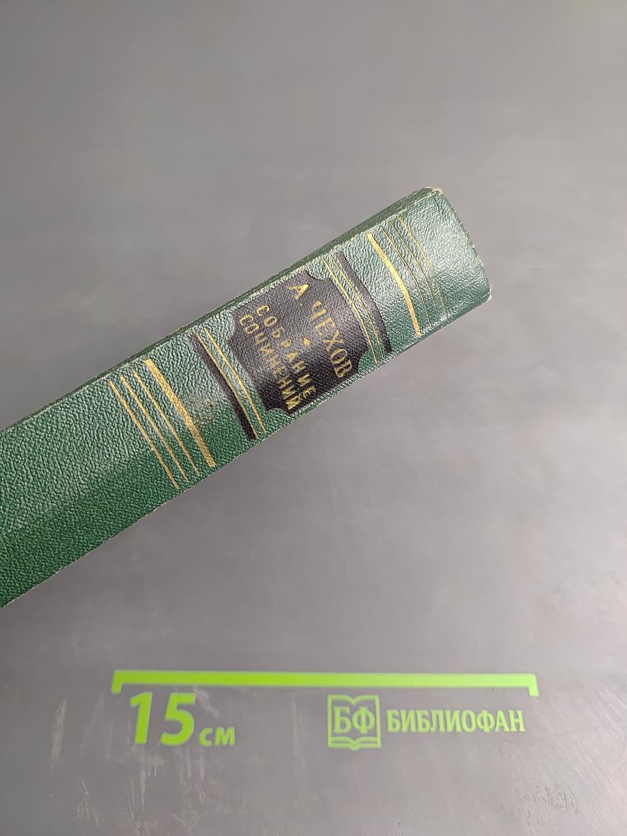 Собрание сочинений. Том шестой: Повести и рассказы (1888-1891)