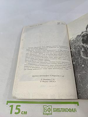 Американский кокер – ваша собака