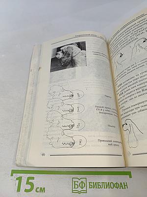 Американский кокер – ваша собака