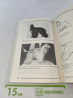 Американский кокер – ваша собака