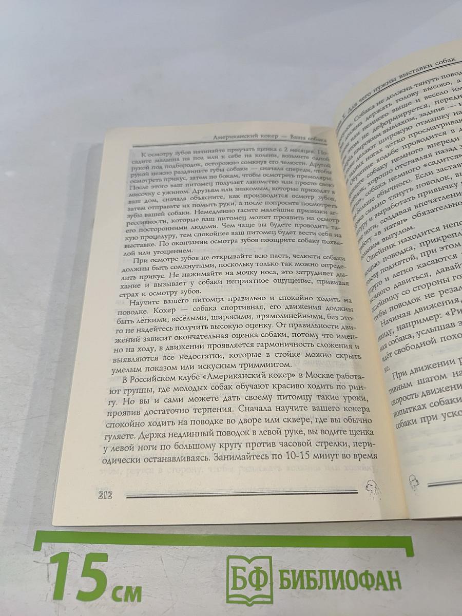 Американский кокер – ваша собака