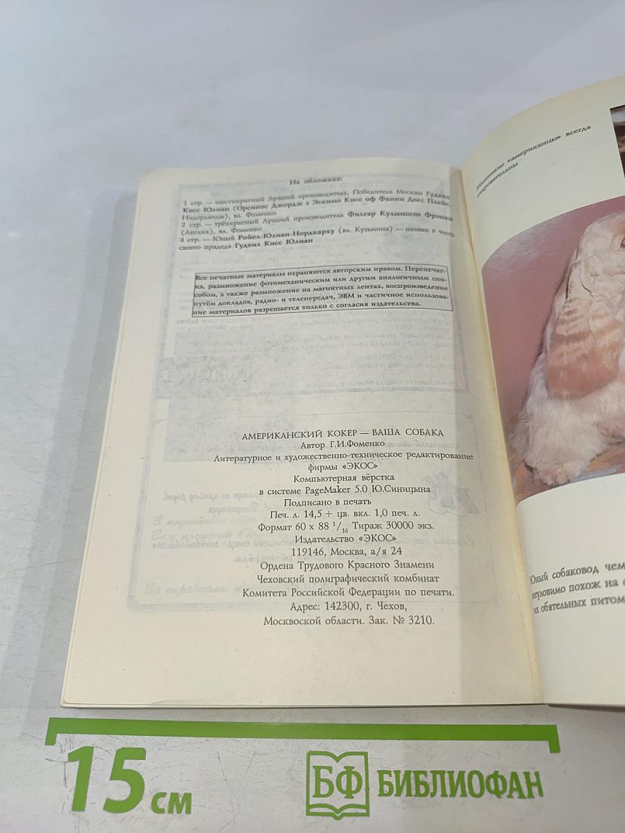 Американский кокер – ваша собака