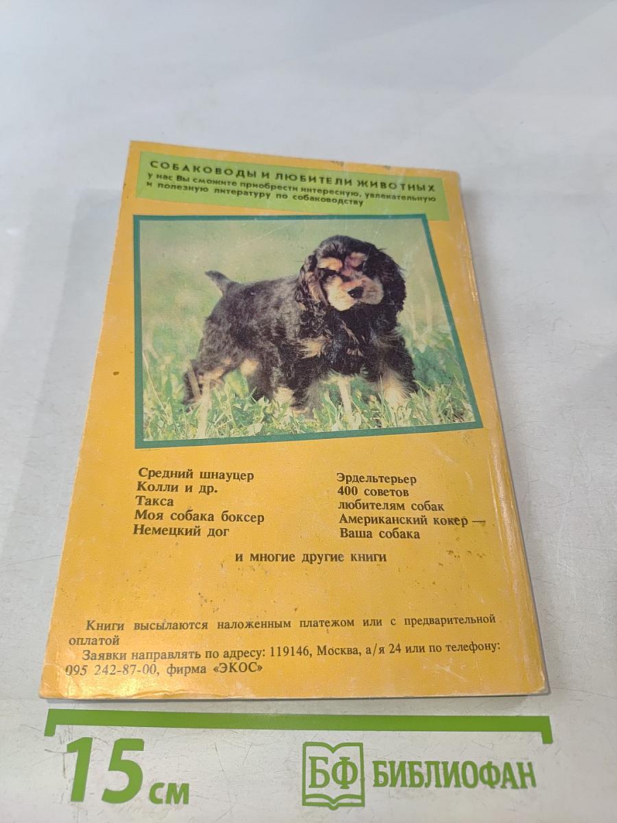 Американский кокер – ваша собака