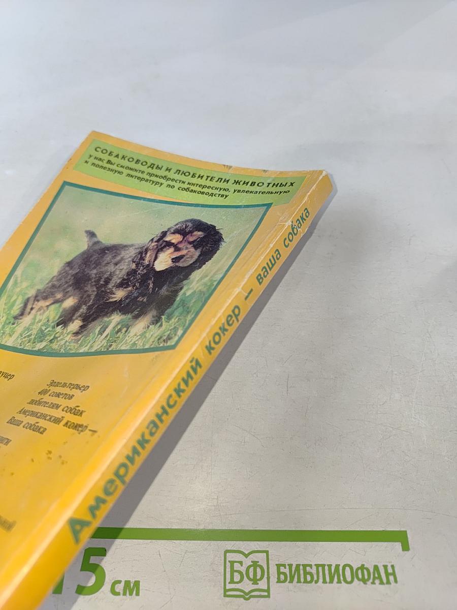 Американский кокер – ваша собака