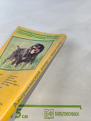 Американский кокер – ваша собака