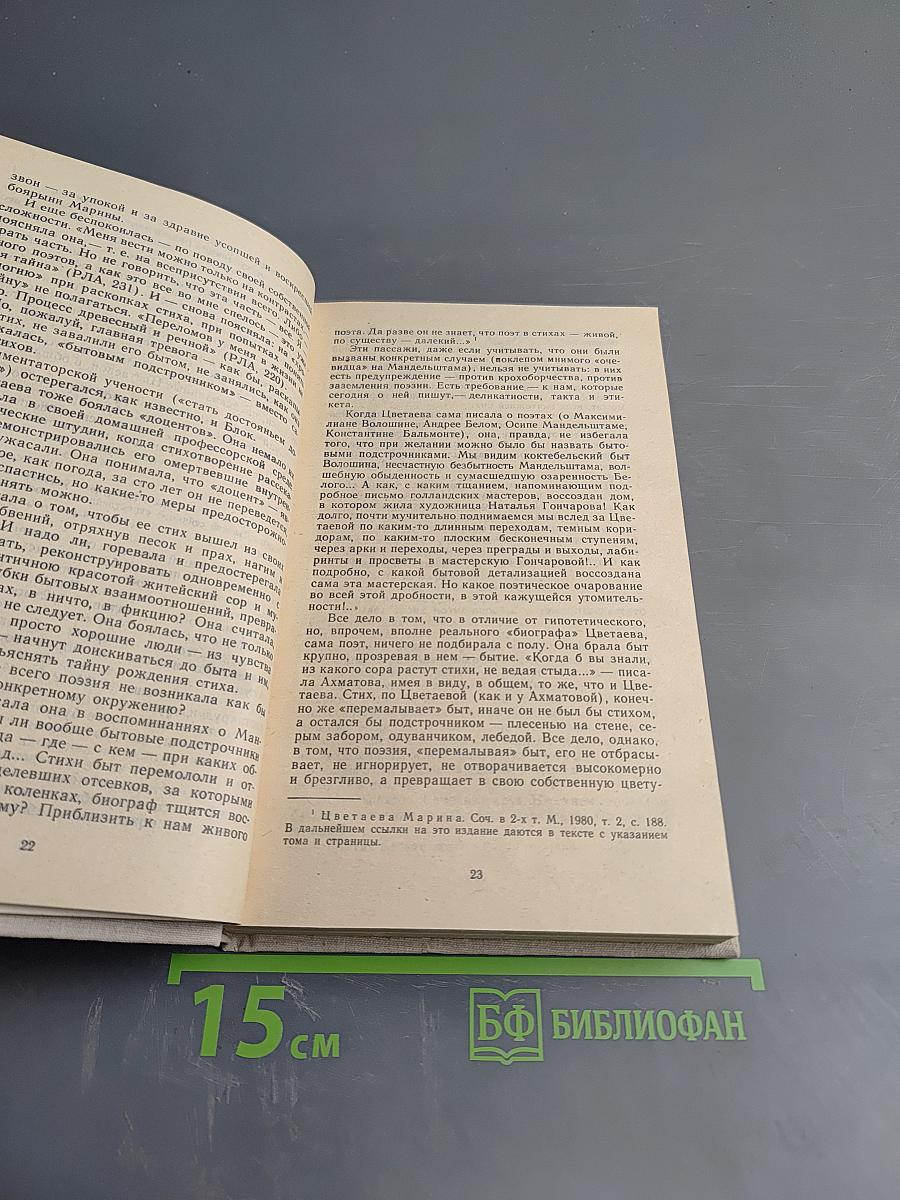 Куст рябины. О поэзии Марины Цветаевой