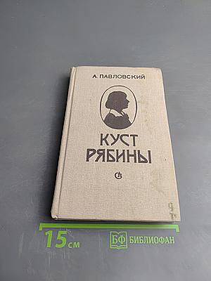 Куст рябины