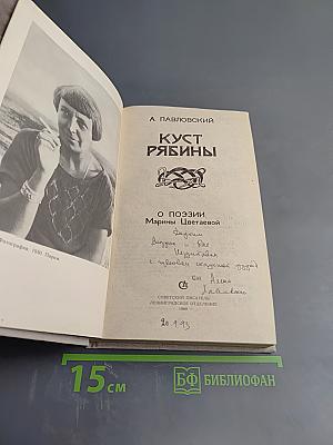 Куст рябины