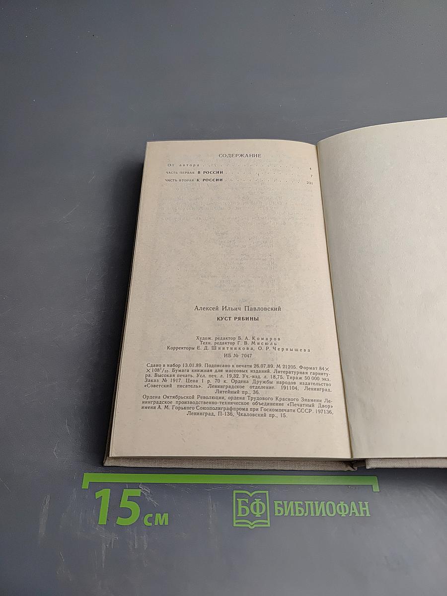 Куст рябины