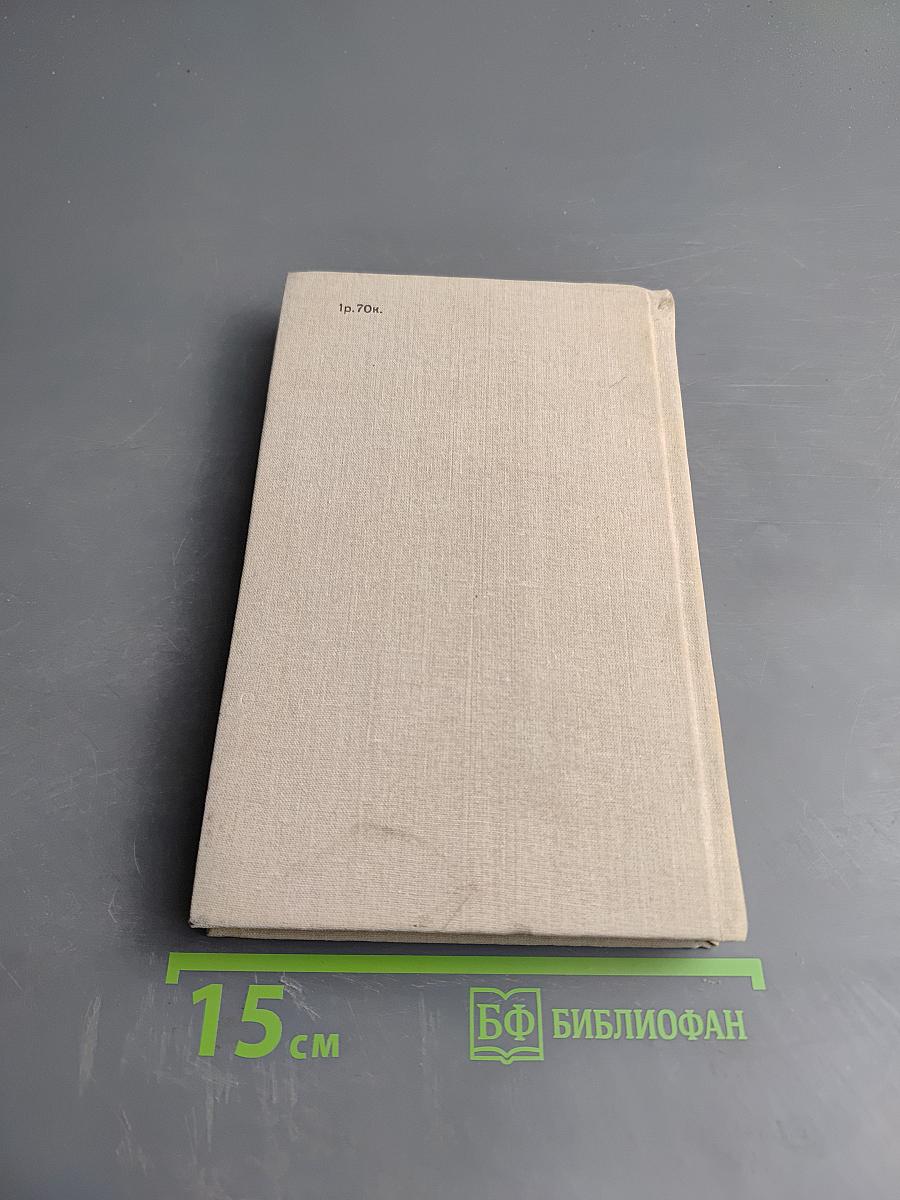 Куст рябины