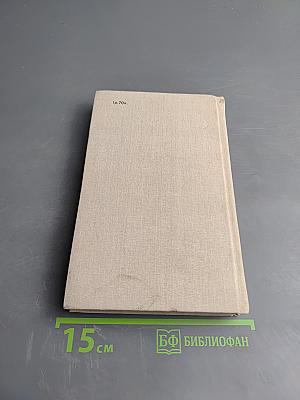 Куст рябины