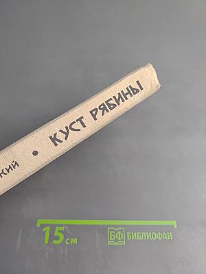 Куст рябины