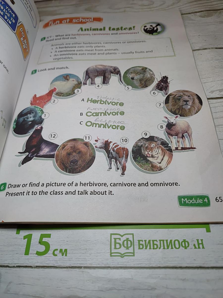Английский язык 4 класс. Учебник. Spotlight 4. Student's Book. В двух частях. Часть 1