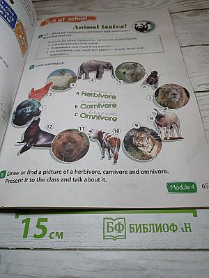 Английский язык 4 класс. Учебник. Spotlight 4. Student's Book. В двух частях. Часть 1