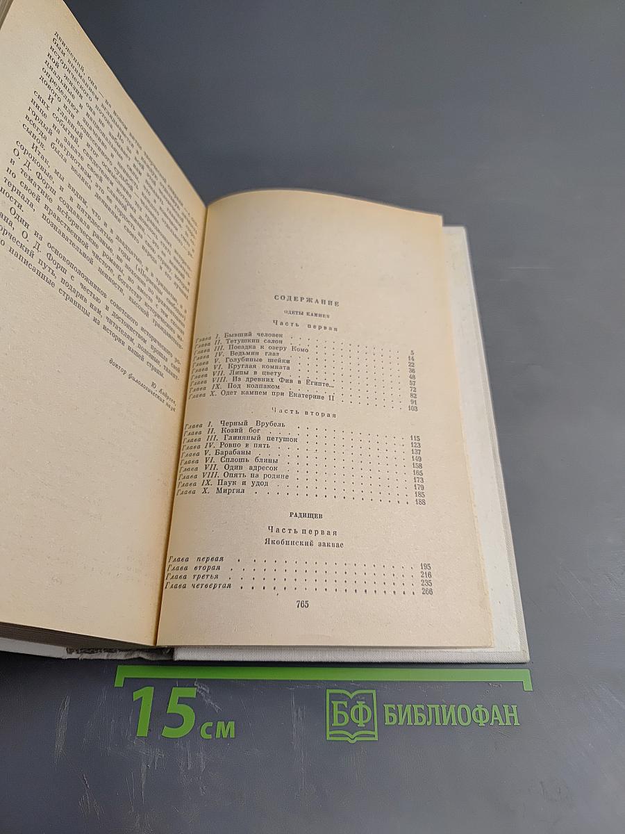Романы: Одеты камнем, Радищев, Михайловский замок