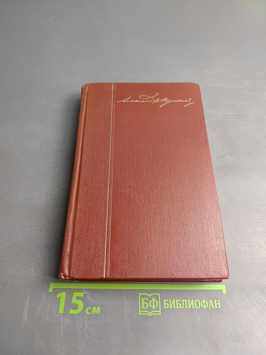 Собрание сочинений. В десяти томах. Том 8: История Петра I. Записки Бригадира Моро-де-Бразе