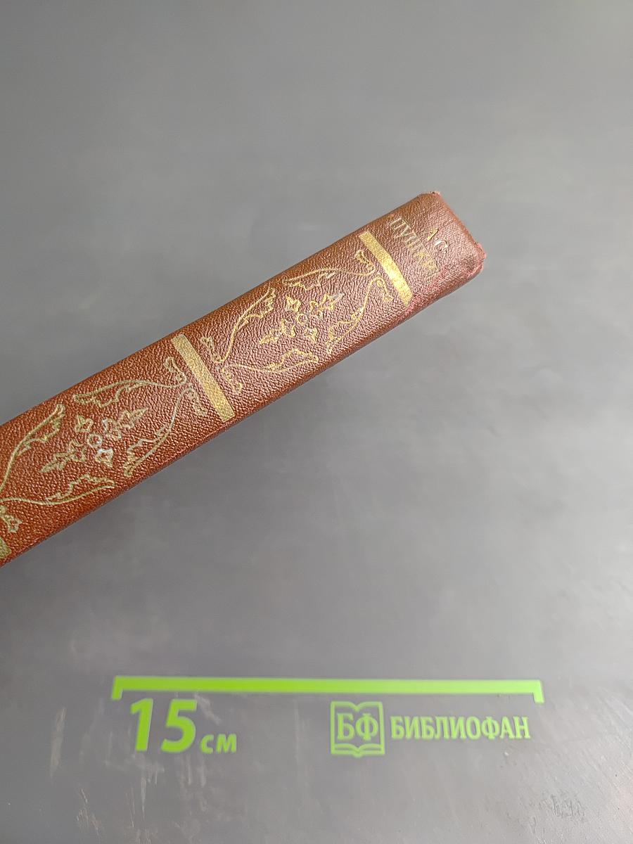 Собрание сочинений. В десяти томах. Том 8: История Петра I. Записки Бригадира Моро-де-Бразе