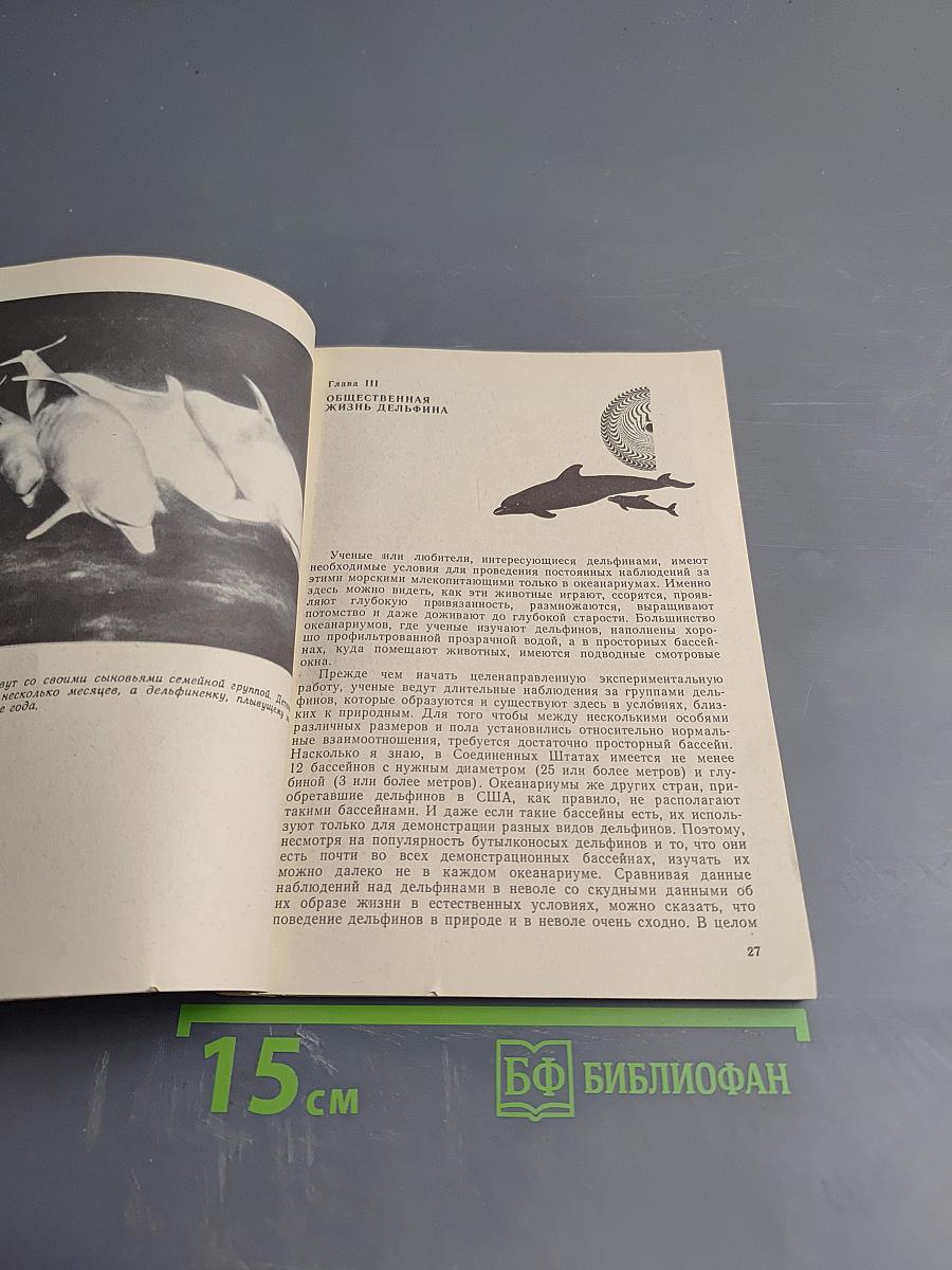 Мир бутылконосого дельфина