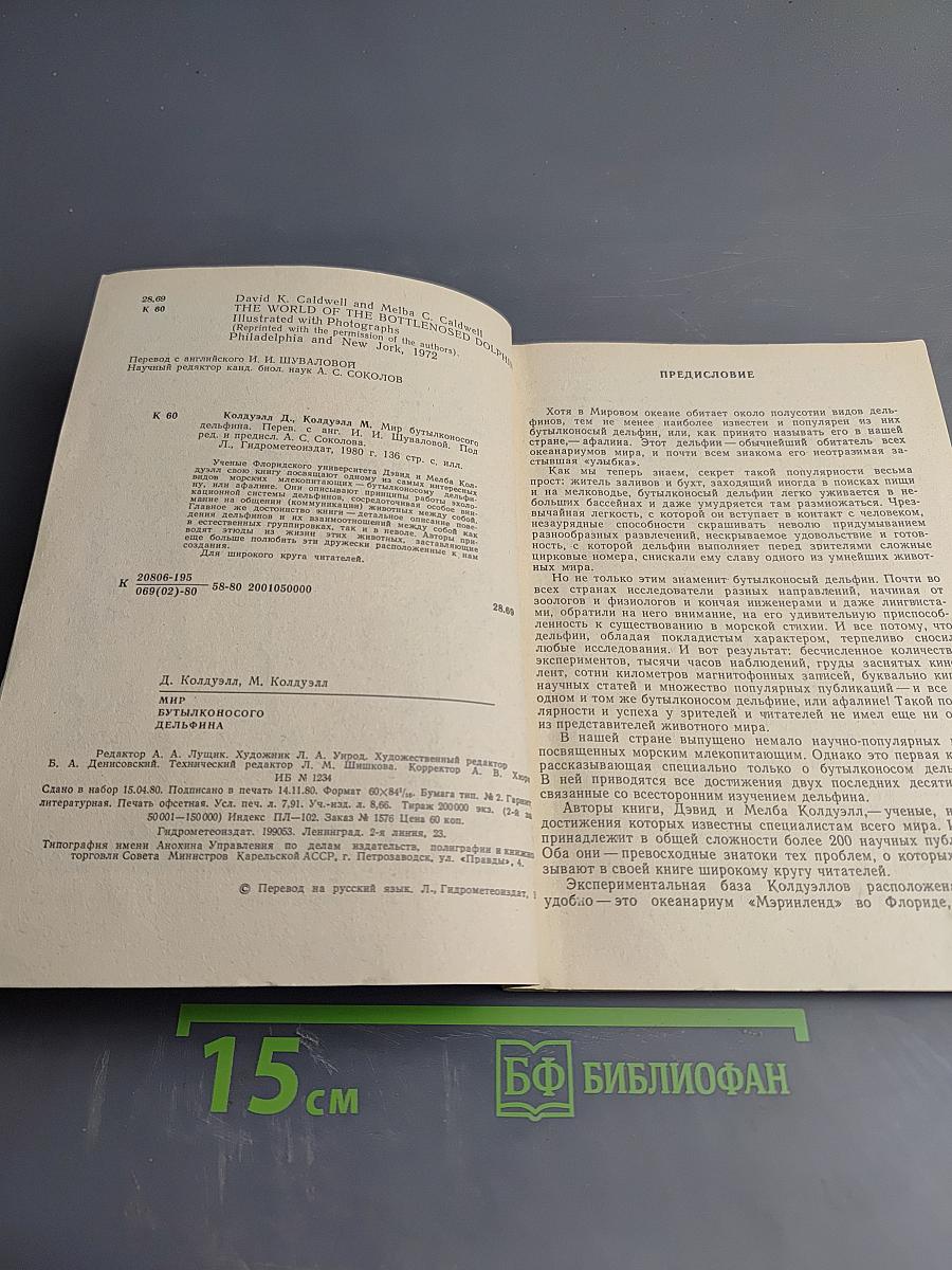 Мир бутылконосого дельфина