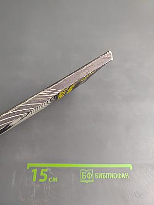 Мир бутылконосого дельфина