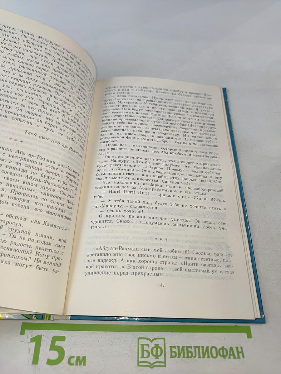 Рыцарь XX века