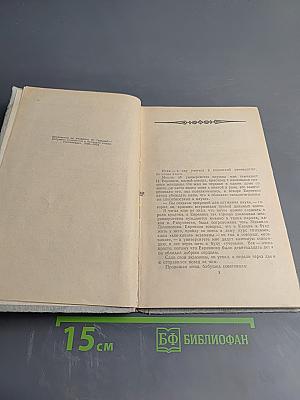 Мои университеты