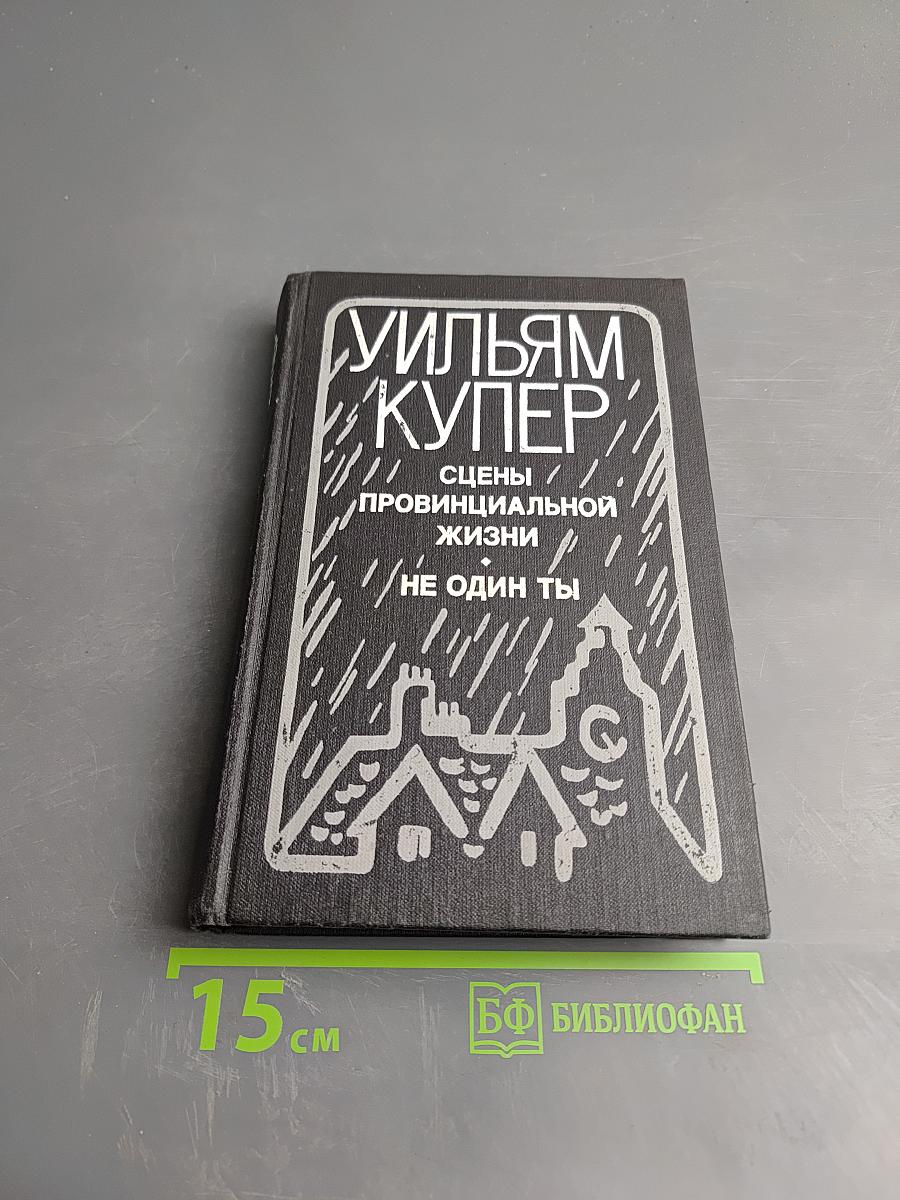 Сцены провинциальной жизни. Не один ты