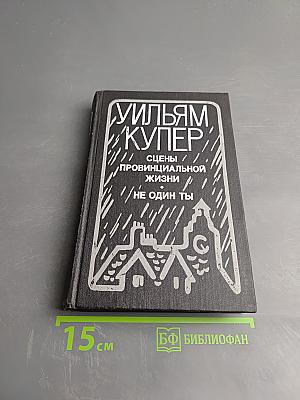 Сцены провинциальной жизни. Не один ты