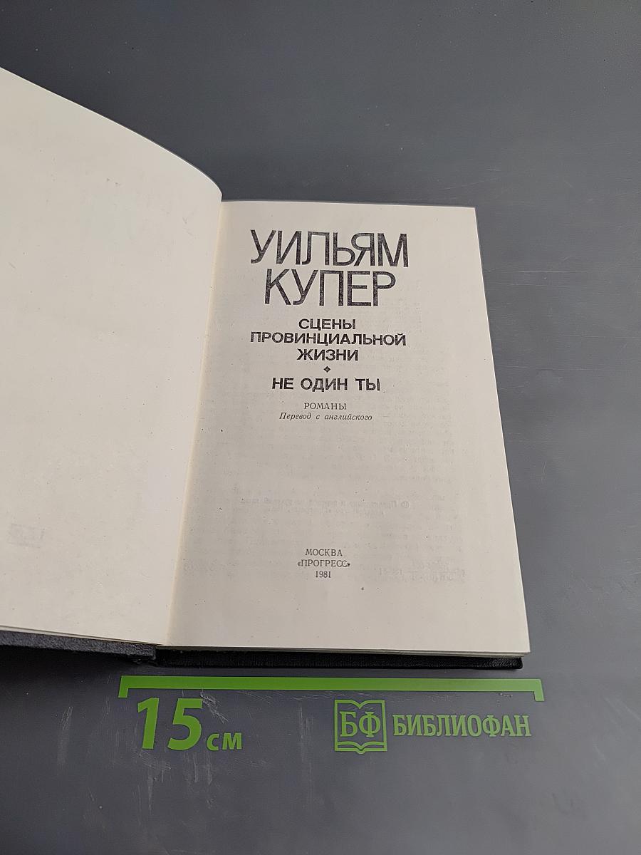 Сцены провинциальной жизни. Не один ты