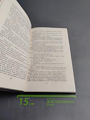 Сцены провинциальной жизни. Не один ты