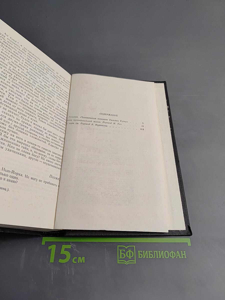 Сцены провинциальной жизни. Не один ты