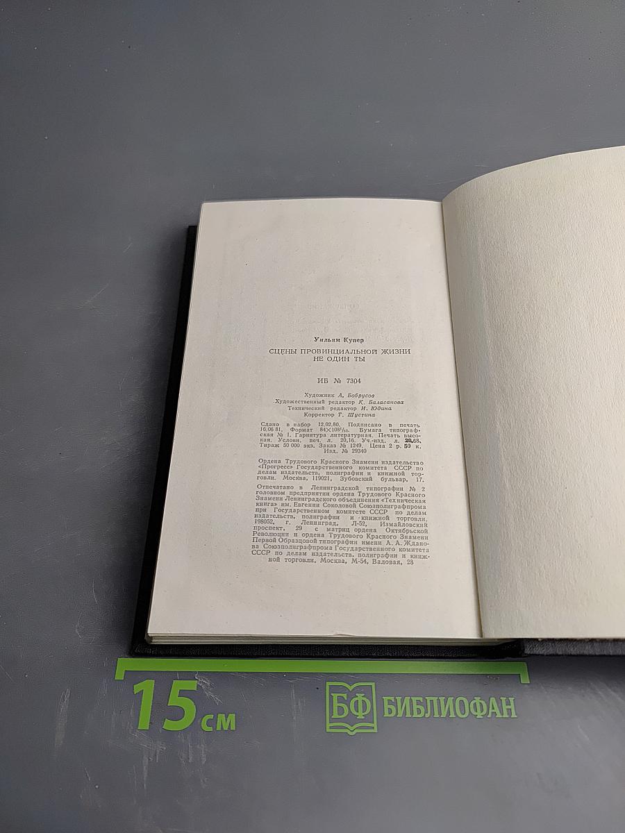 Сцены провинциальной жизни. Не один ты